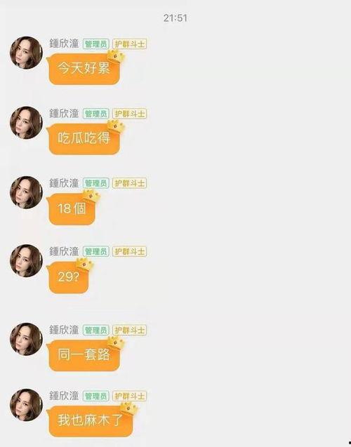最新娱乐吃瓜网站大全,揭秘娱乐圈最新动态，一网打尽热门八卦！