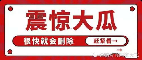 娱乐吃瓜免费入口网站,带你畅游娱乐圈的奥秘世界