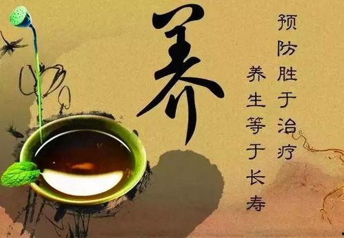 娱乐吃瓜酱中医养生小说,中医养生小说中的趣味人生