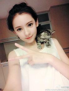 婉瑜娱乐吃瓜酱,揭秘娱乐圈幕后故事