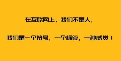 娱乐吃瓜自我介绍文案,带你领略娱乐圈风云变幻