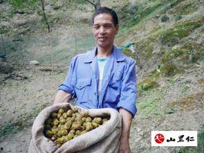 娱乐吃瓜酱拐进大山,揭秘不为人知的奇幻之旅