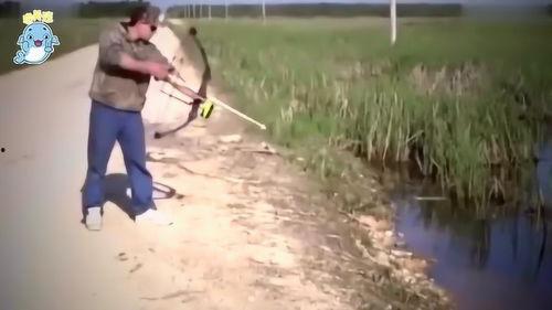 娱乐吃瓜钓鱼,钓鱼揭秘幕后故事