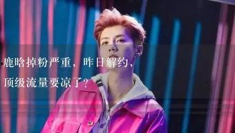 娱乐吃瓜小故事视频播放,热门视频背后的故事