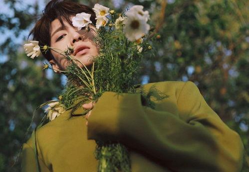 娱乐吃瓜封面图片大全集,吃瓜封面图片大全集