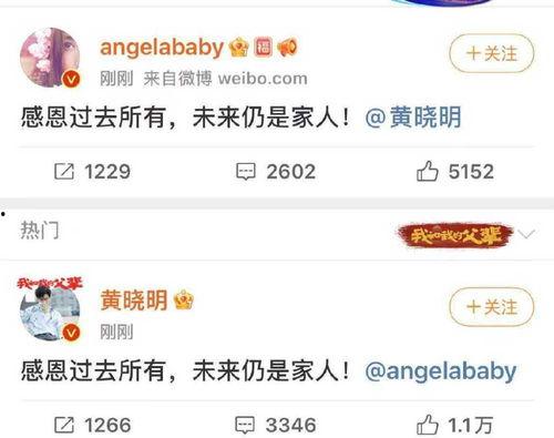 吃瓜娱乐揭秘下载,热门内容背后的秘密大公开