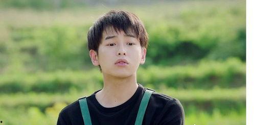 爱豆吃瓜娱乐酱许凯,从爱豆到吃瓜娱乐酱的华丽转身