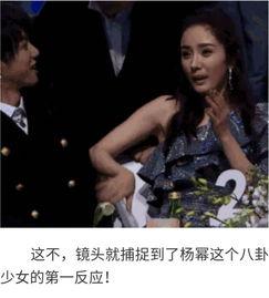 明星吃瓜八卦娱乐,明星吃瓜大揭秘，八卦娱乐一网打尽