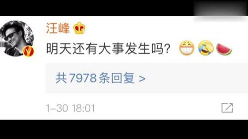 吃瓜娱乐视频网站入口